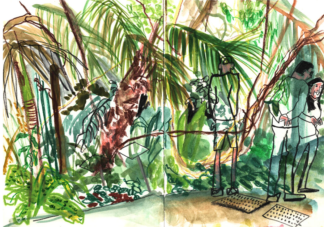Botantical garden - Poznan Botantical garden - Poznan